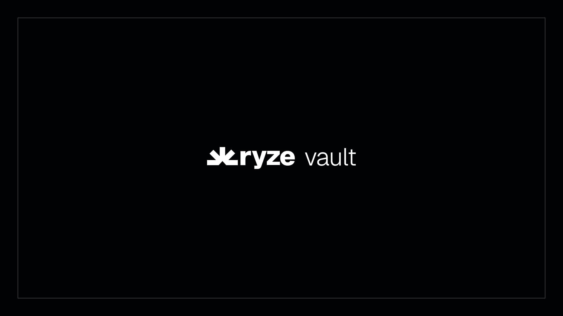 Ryze Bank brand identity exploration 11
